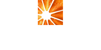 tmn24logo_snl_tel-wit